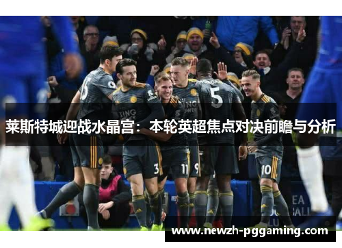 莱斯特城迎战水晶宫:本轮英超焦点对决前瞻与分析 莱斯特城迎战水晶宫:本轮英超焦点对决前瞻与分析