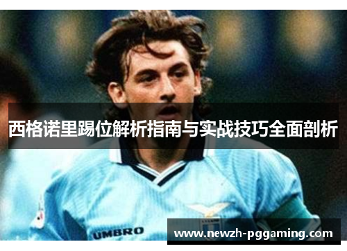 西格诺里踢位解析指南与实战技巧全面剖析 西格诺里踢位解析指南与实战技巧全面剖析