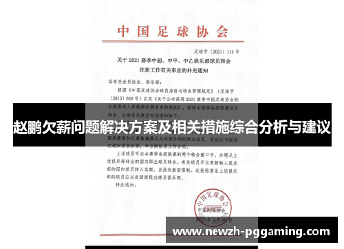 赵鹏欠薪问题解决方案及相关措施综合分析与建议