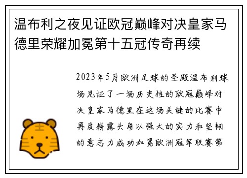 温布利之夜见证欧冠巅峰对决皇家马德里荣耀加冕第十五冠传奇再续